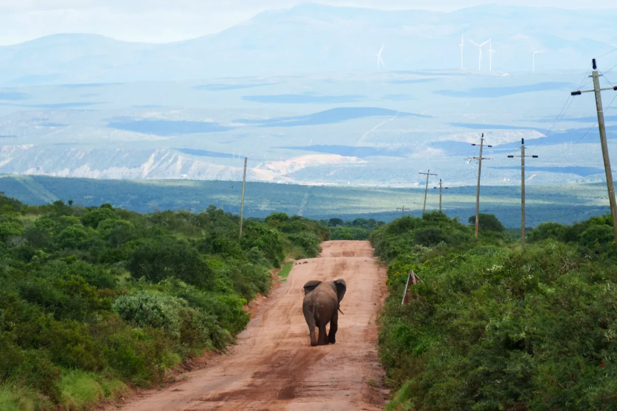 South Africa