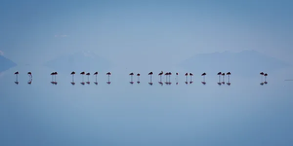 The Bolivian Highlands (and a Snippet of Chile)