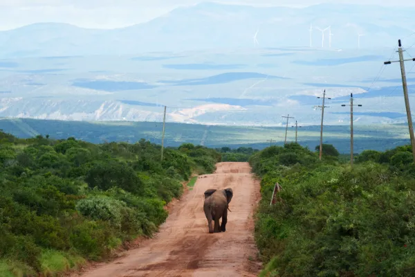 South Africa